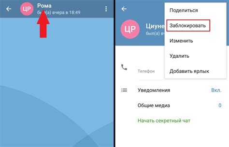 Тема 1: "Экспресс-инструкция: установка мессенджера Там Там на Android"