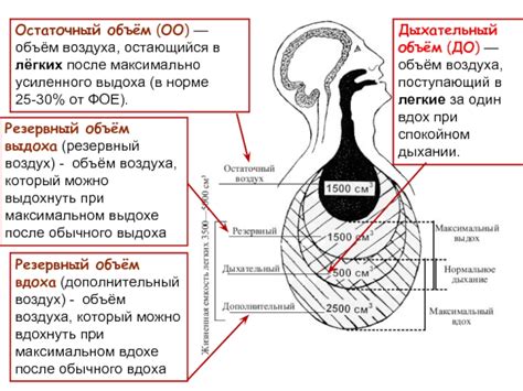 Тема 1: Ухудшение легочной функции и снижение емкости легких