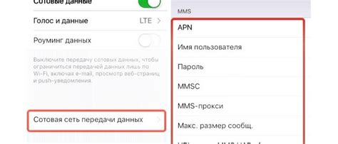 Тестирование и использование функции ММС на новом аппарате Apple