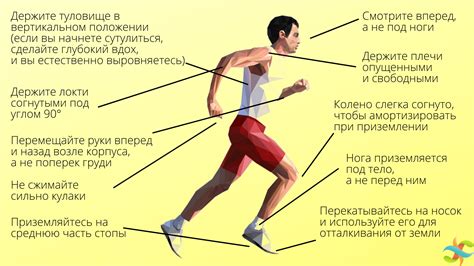 Техника правильного расстановки ног при шаге