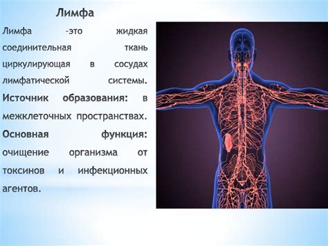 Техники дыхания для стимуляции функции лимфатической системы