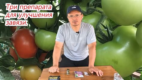 Техники прореживания цветочных бутонов для улучшения завязи перцев