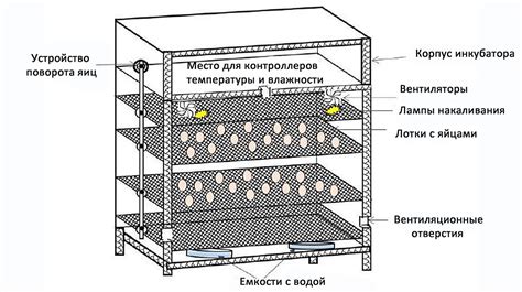 Технические параметры: температура и влажность в инкубаторе