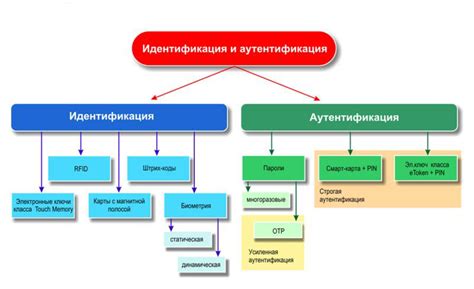 Технологии идентификации пациентов: использование современных методик и средств