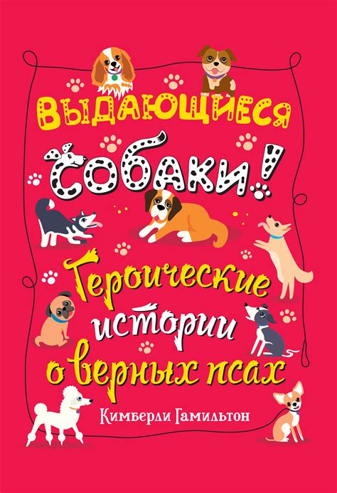 Толкование снов о псах в контексте выбора домашнего питомца