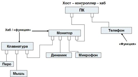 Топология подключения устройств к USB хабу