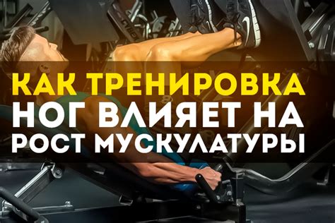 Тренировка мускулатуры лицевых очертаний