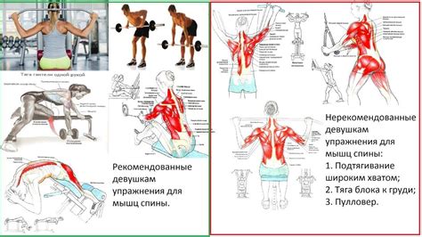 Тренировки с упором на функциональность для укрепления мышц