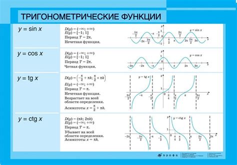 Тригонометрические функции: понятие и назначение