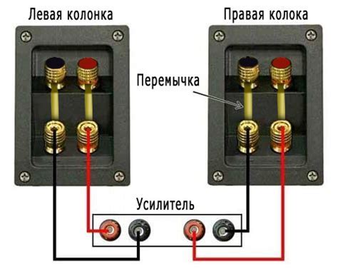 Убедитесь в правильном подключении колонок