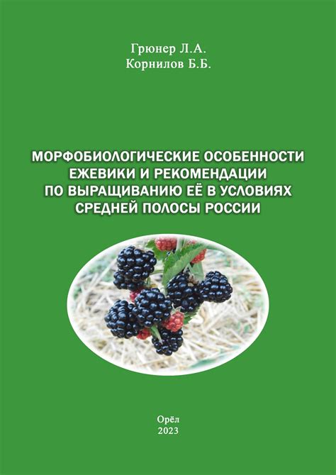 Уборка и хранение урожая кизила в условиях средней полосы
