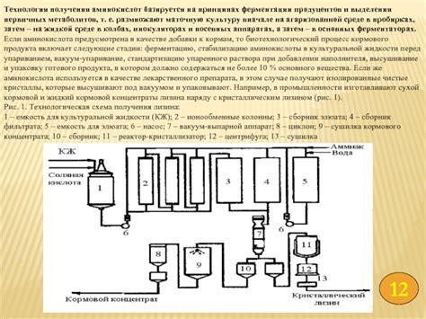 Увеличение ферментации и улучшение процесса выделения спирта