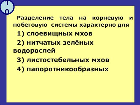 Углубление в тему пятого задания: Краткая справка