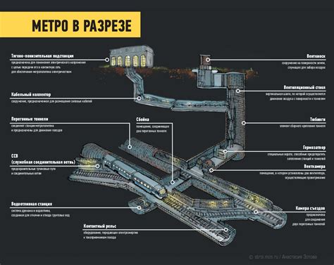 Удобное путешествие под землей: возможности метро в Северной столице