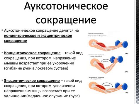 Укрепление мышц и повышение мышечного тонуса