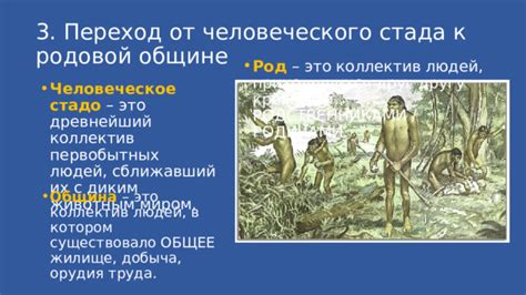 Уникальные задачи родовой общины и их отличие от целей человеческого стада