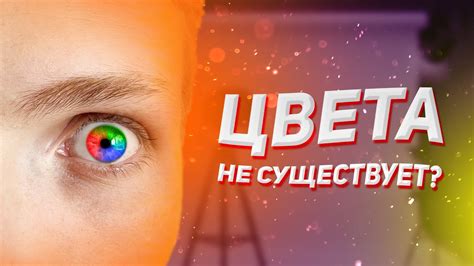 Уникальный раздел: Особенности восприятия цветов у людей с дальтонизмом