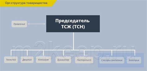 Управление в ТСЖ и роль управляющей компании: различия и функции
