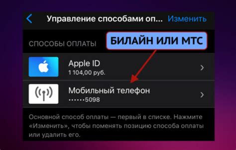 Управление доступными способами оплаты в мобильном приложении Билайн для iPhone