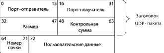 Управление потерей пакетов и гарантированная доставка данных в протоколе UDP