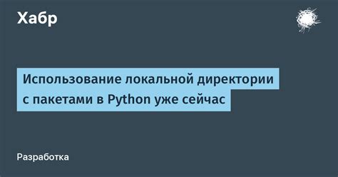 Установка и использование инструмента для управления пакетами в языке программирования Python