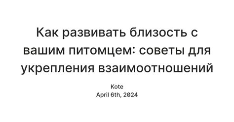 Установление иерархической структуры: советы по выстраиванию взаимоотношений с питомцем