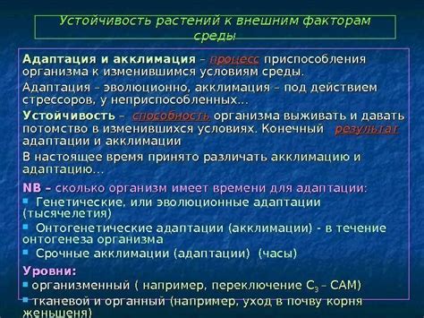 Устойчивость к внешним факторам: непревзойденная защита и долговечность