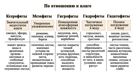 Устойчивость к свету и воде: два важных свойства гуаши