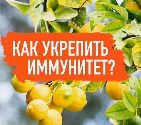 Устраняем зуд с помощью народных средств