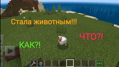 Уход за прямохребетным диким животным в Minecraft