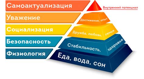 Учет основных потребностей