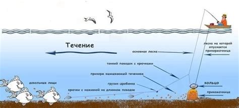 Учет особенностей рыболовного места при выборе места установки кормушки