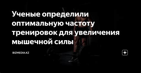 Факторы, влияющие на оптимальную частоту тренировок пресса