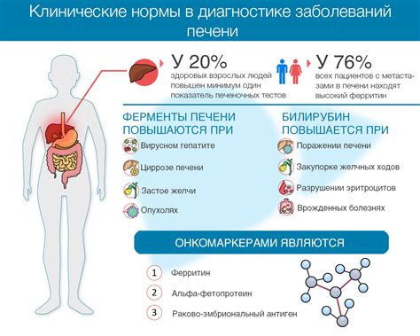 Факторы, влияющие на уровень активности щелочной фосфатазы в крови