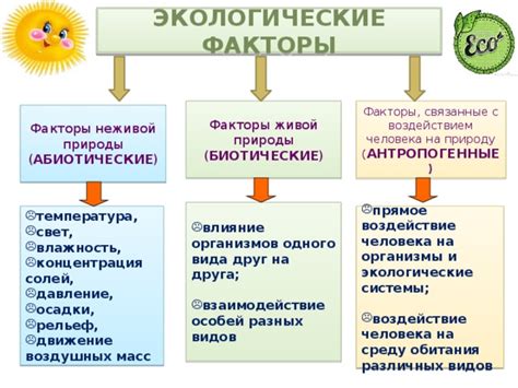 Факторы, воздействующие на состояние РПП