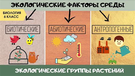 Факторы окружающей среды и неспецифический генез