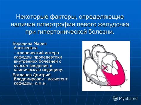 Факторы способствующие развитию горизонтальной гипертрофии левого желудочка и ее опасность