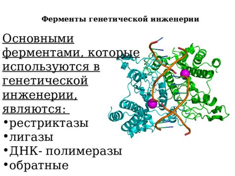 Ферменты в передаче генетической сущности