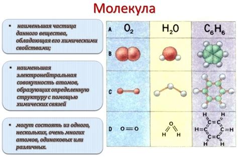 Физико-химические свойства молекул и их поведение под влиянием различных условий