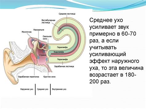 Физиология слез: механизмы и функции их появления