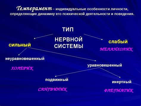 Физическая составляющая нервной системы