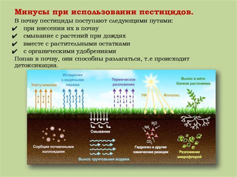 Физические методы обеззараживания почвы