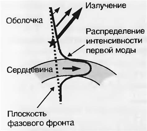 Физические основы возникновения иллюминации в флоре