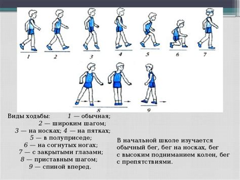 Физические преимущества ходьбы перед передвижением на транспорте