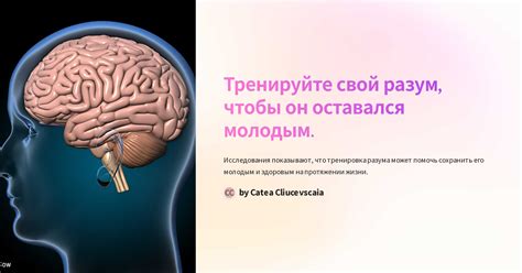 Физические упражнения для разума: поддерживайте острые умственные способности