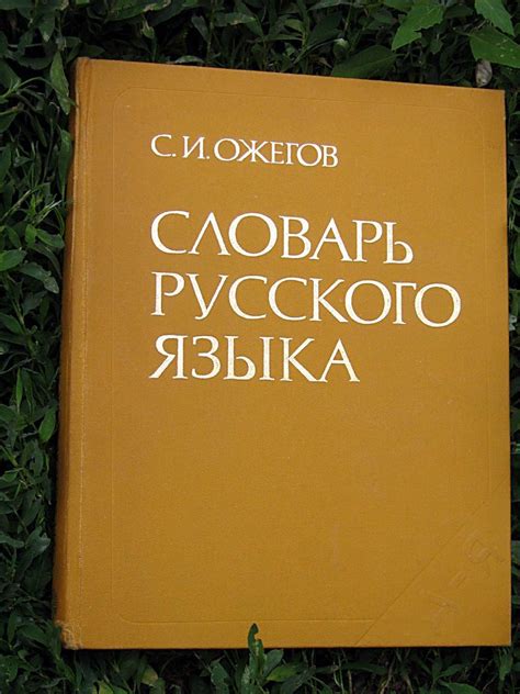 Филологическое осмысление фжел в лингвистике русского языка