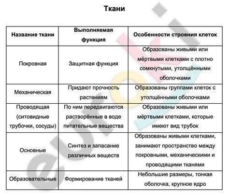 Функции и особенности основной группы