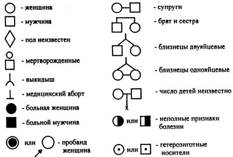 Функции особенной линии в управляемом векторе родословных