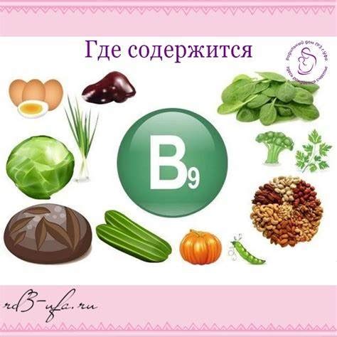 Функциональность и важность фолиевой кислоты для здоровья организма