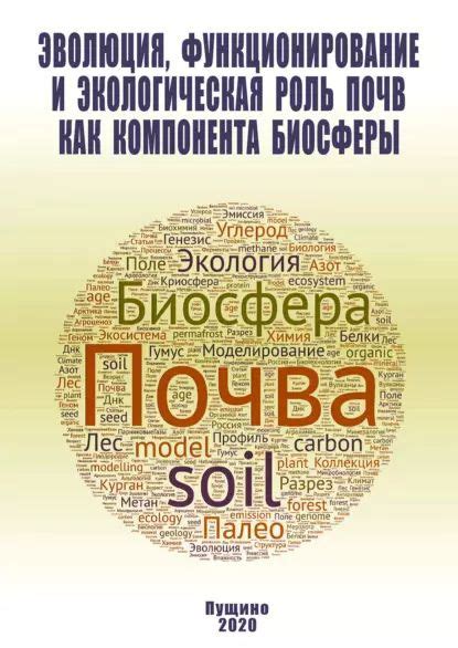 Функционирование и роль приложения для цифрового благополучия на мобильных устройствах